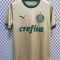 24/25 Palmeiras Third Away Jersey