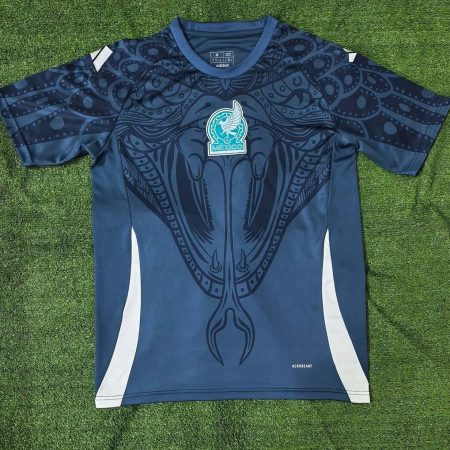 2024 Mexico National Training Wear Football Shirt