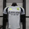 24/25 Player Version Benfica Third Away Football Shirt