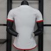 24/25 Player Version Flamengo Away Jersey