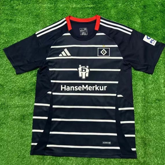 24/25 Hamburger SV Away Football Jersey