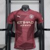 24/25 Player Version Manchester City Third Away Football Shirt