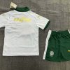 24/25 Palmeiras Away Jersey Kids Size Suit