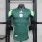 2024 Player Version Algeria National Team Away Football Shirt