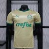 24/25 Player Version Palmeiras Third Away Jersey