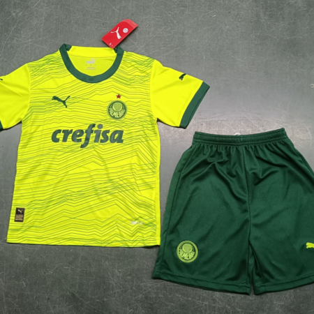 23/24 Palmeiras Third Football Shirt Kids Size Suit