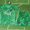 24/25 Paris Saint-Germain Green Goalkeeper Football Shirt Kids Size Suit