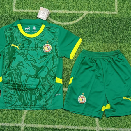 24/25 Senegal Away Football Shirt Kids Size Suit