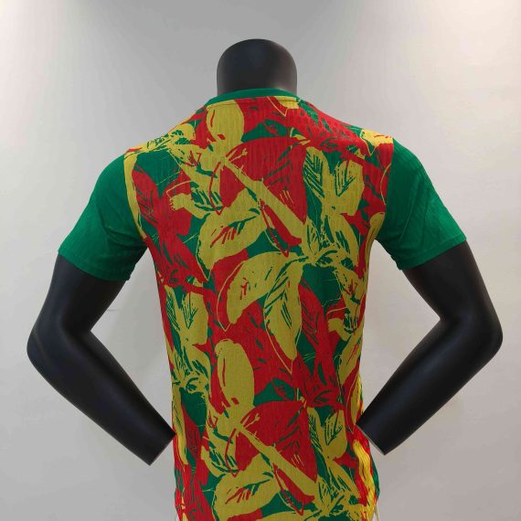 24/25 Senegal Special Edition Football Shirt