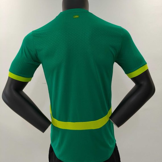 24/25 Player Version Senegal Away Football Shirt