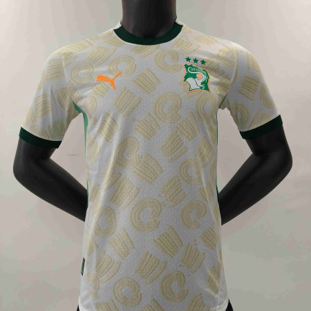 24/25 Player Version Cote d'Ivoire Away Football Shirt