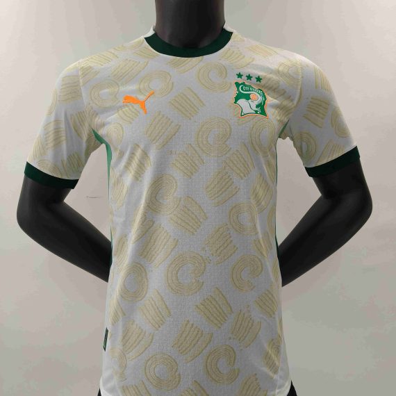 24/25 Player Version Cote d'Ivoire Away Football Shirt