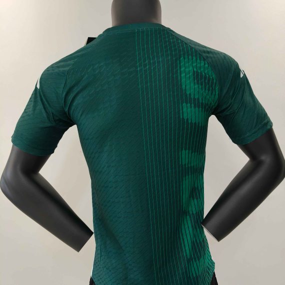24/25 Italy Green Special Edition Football Shirt