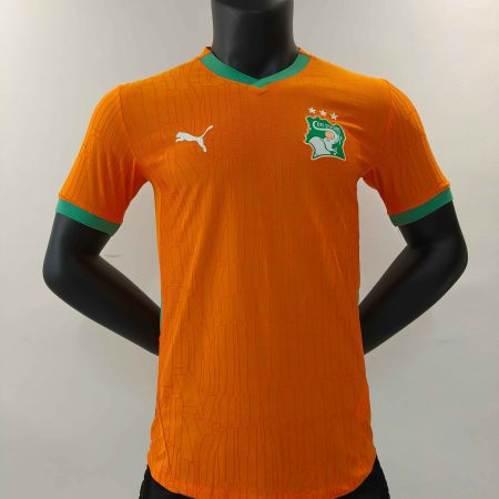 24/25 Player Version Cote d'Ivoire Home Football Shirt