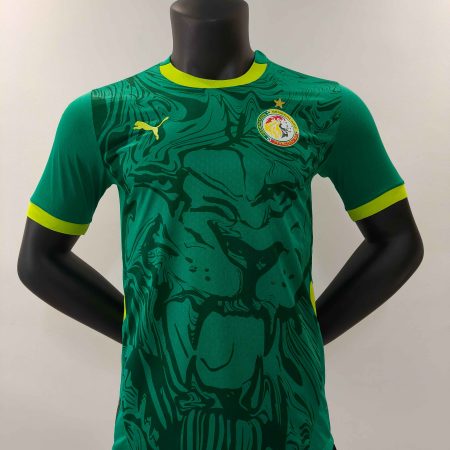 24/25 Player Version Senegal Away Football Shirt