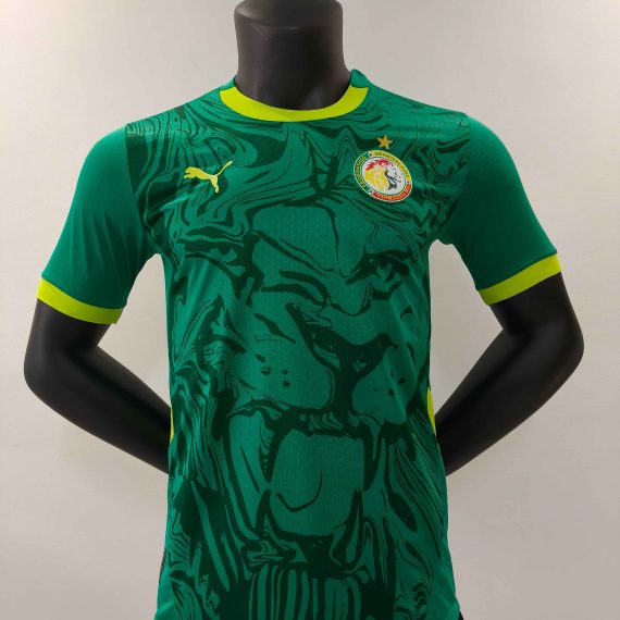 24/25 Player Version Senegal Away Football Shirt