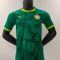 24/25 Player Version Senegal Away Football Shirt