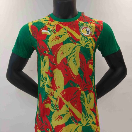 24/25 Senegal Special Edition Football Shirt