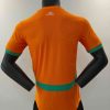 24/25 Player Version Cote d'Ivoire Home Football Shirt