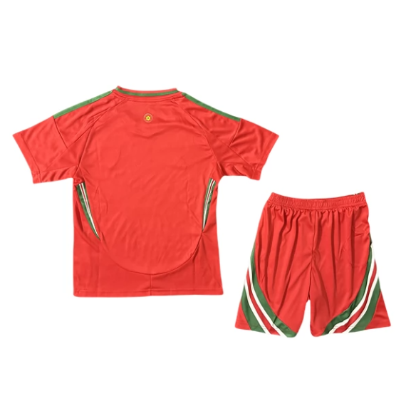 23/24 Wales Home Football Shirt Kids Size Suit
