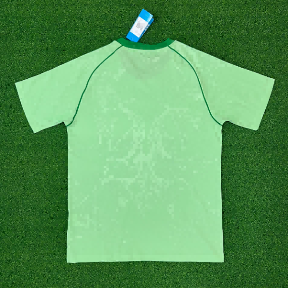 25/26 Celtic Green Special Edition Football Shirt