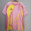 25/26 Scotland National Team Away Football Shirt