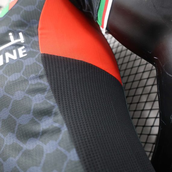 2024/2025 Player Version Club Deportivo Palestino Away Football Shirt