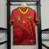 25/26 Cameroon Away Football Shirt