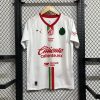 25/26 Chivas Away Soccer Jersey