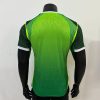 26/27 Player Version Nigeria National Team Home Football Shirt