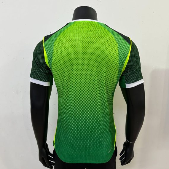 26/27 Player Version Nigeria National Team Home Football Shirt
