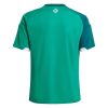 26/27 Northern Ireland Home Football Shirt
